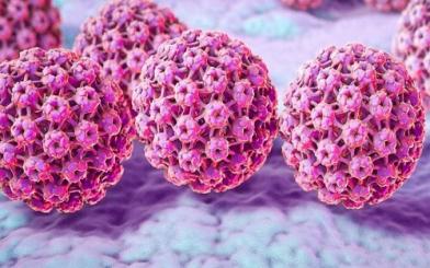 Virus HPV [Kiến thức tổng hợp- Nam, nữ nên tham khảo!]
