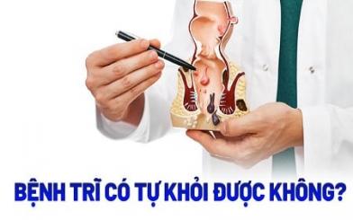 Trĩ nội có tự hết không và chữa bằng cách nào hiệu quả