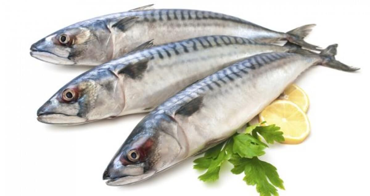 Món ăn chữa viêm cổ tử cung tốt nhất: cá giàu omega 3