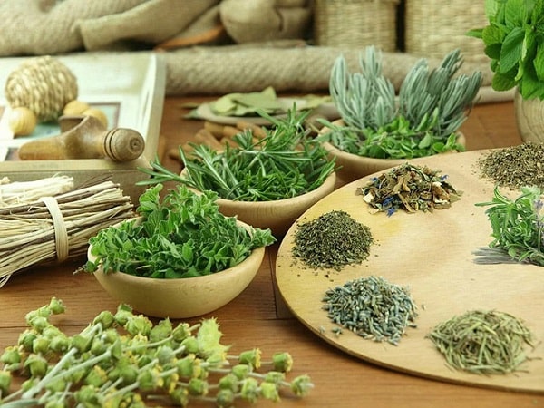 Những lợi ích khi lựa chọn thuốc nam chữa trĩ nội