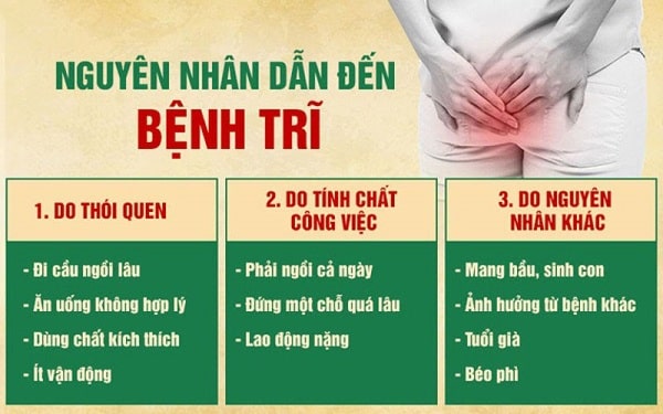 Nguyên nhân gây nên bệnh trĩ nội độ 2 là gì ? 