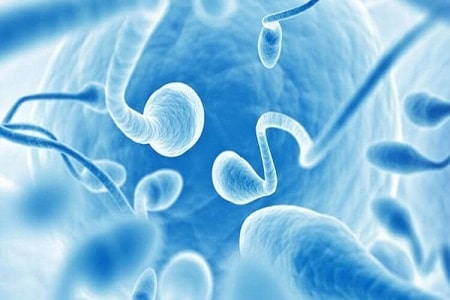 Xuất tinh sớm có ảnh hưởng đến chất lượng tinh trùng không?